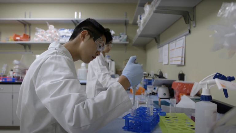 A researcher using a pipette while working in a lab.