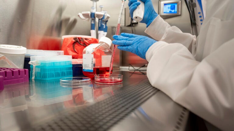 A researcher in a lab setting at USC using a Petri dish.