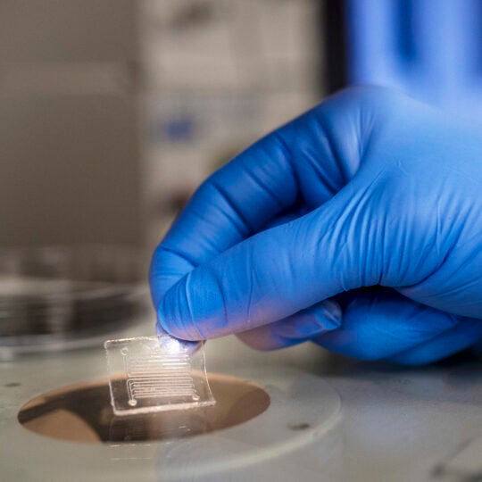 A gloved hand holding a slide under a lit microscope