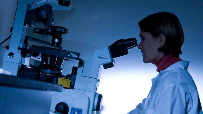 Woman looking into a microscope. Pane Image 1