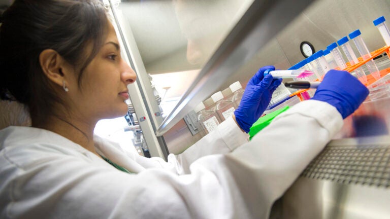 A USC undergraduate researcher works in a lab setting.