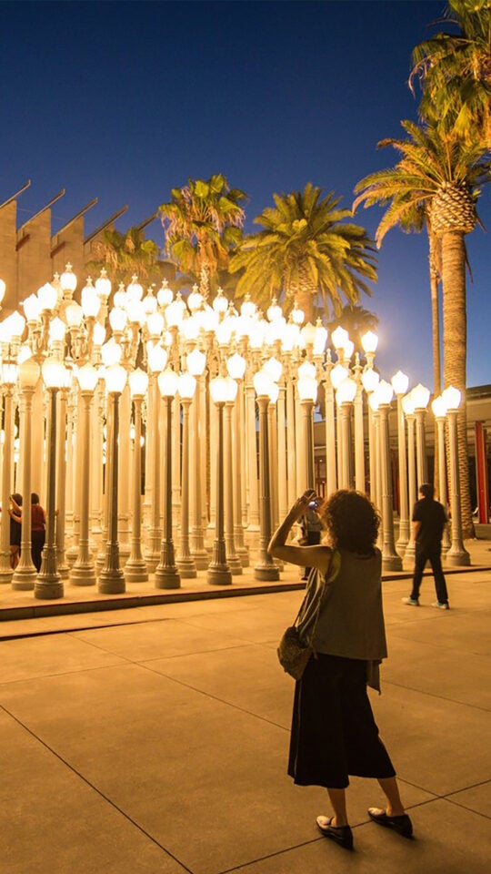 The exhibition, Urban Light, an installation of 202 restored 1920's era cast iron street-lamps, located outside the Los Angeles County Museum of Art.