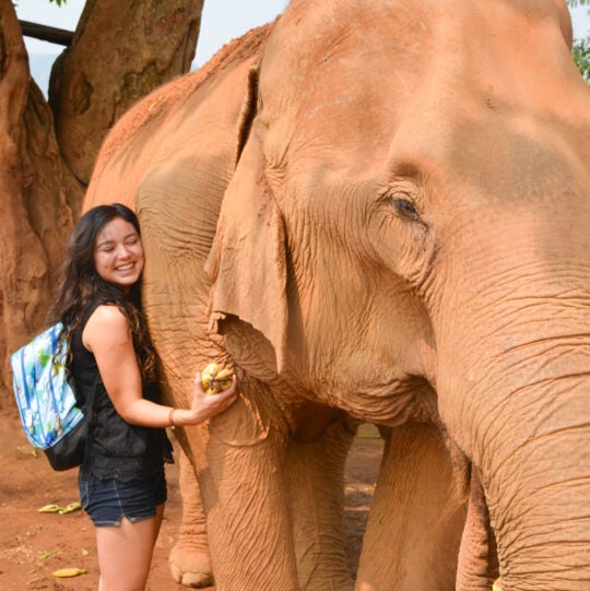 A USC student hugs an elephant on a trip abroad to Thailand.