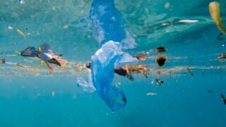 Photo of plastic pollution in a marine environment.