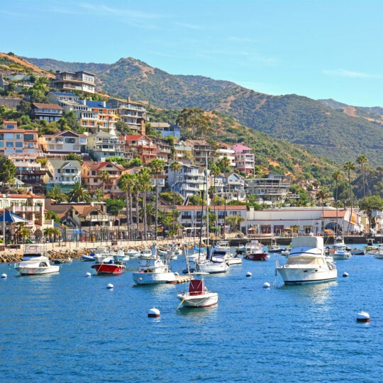 Boats in Avalon Harbor with homes on the hillside in Santa Catalina Island off the coast of Southern California.
