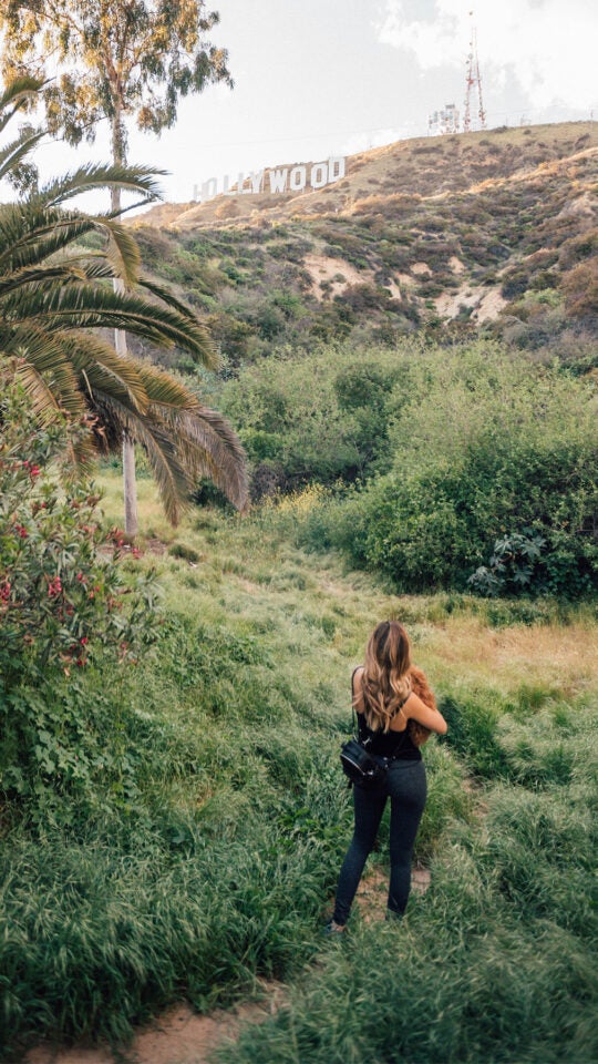 A hiker walking with the Hollywood Sign in the distance.