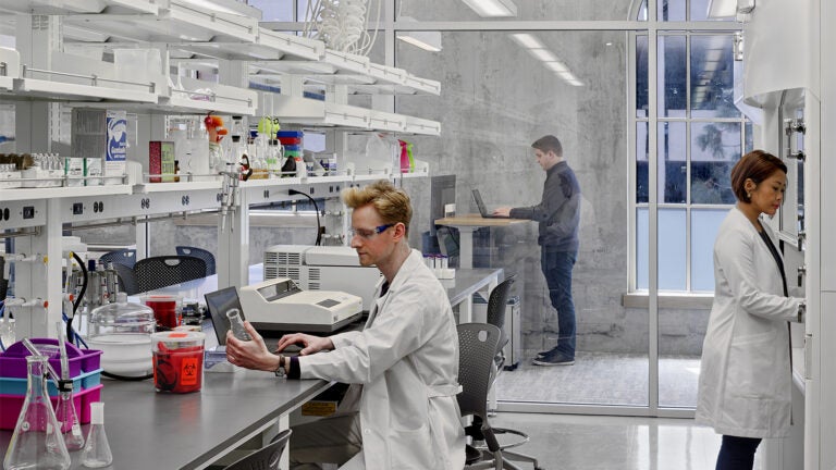 Scientists working in the lab at USC Michelson Center for Convergent Bioscience.