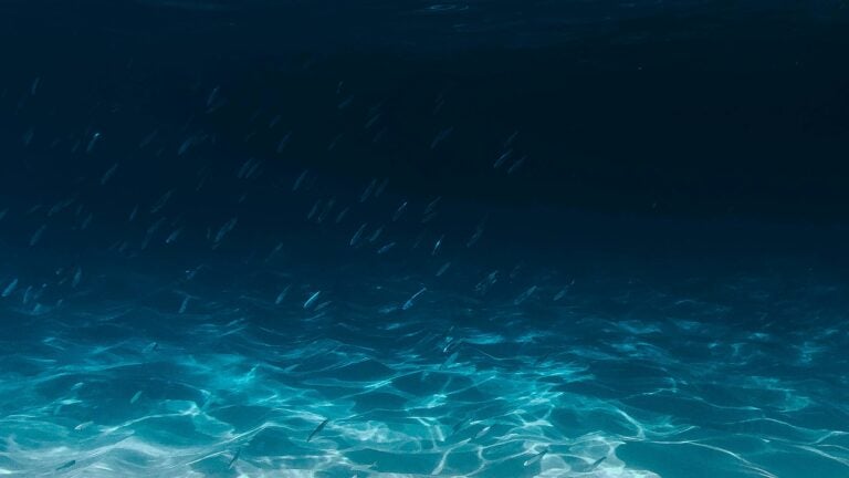 Underwater ocean