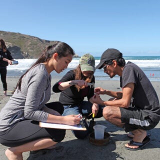 Students conducting research at the beach