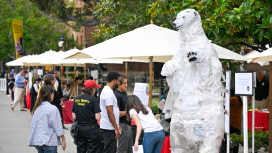 A polar bear installation