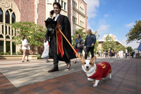 A USC graduate and his Corgi walk down Trousdale