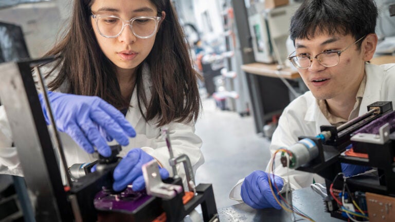 2 researchers with gloves examining samples