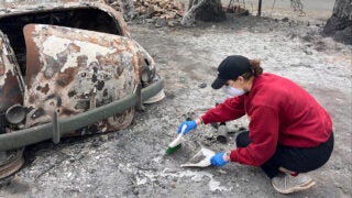 Wildfire testing