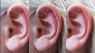 Ear